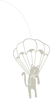 parachuting cat